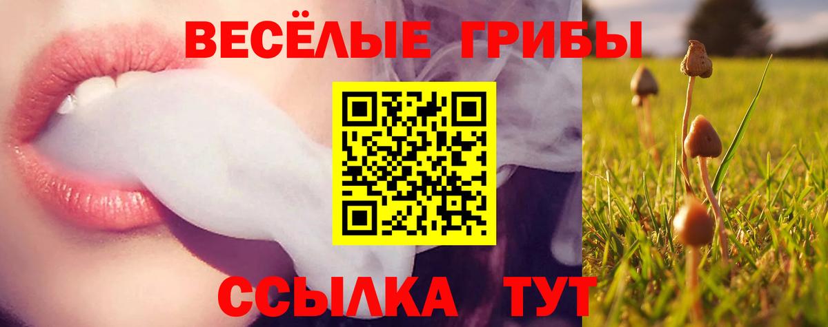 как найти   Псилоцибиновые грибы мицелий  Вход с VPN  Соль-Илецк 