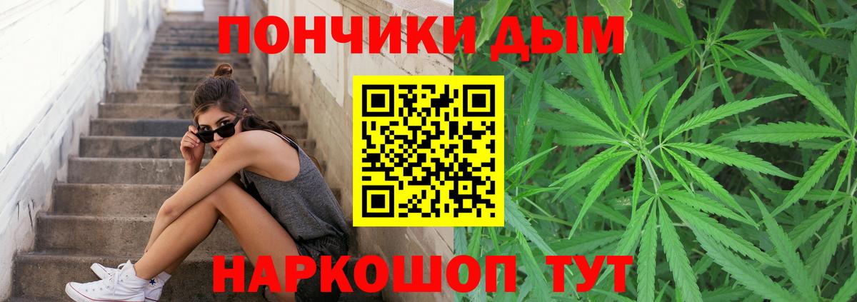 Каннабис SATIVA & INDICA  Вход с VPN  Шишки марихуана гибрид  Канабис план  Канабис ГИДРОПОН  Соль-Илецк 
